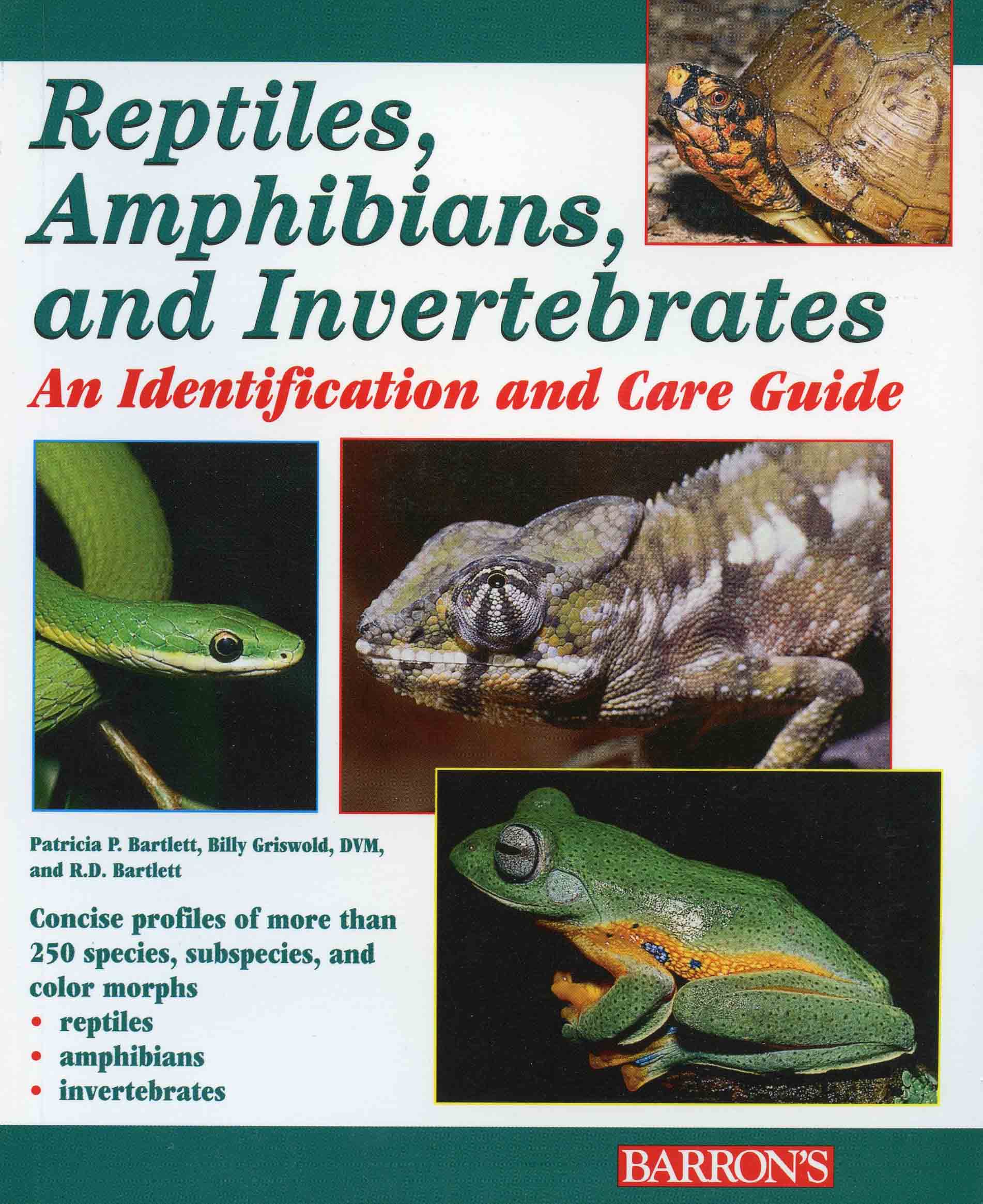 are reptiles invertebrates