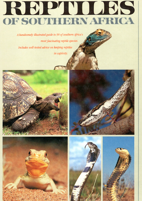 Reptiles Of Southern Africa